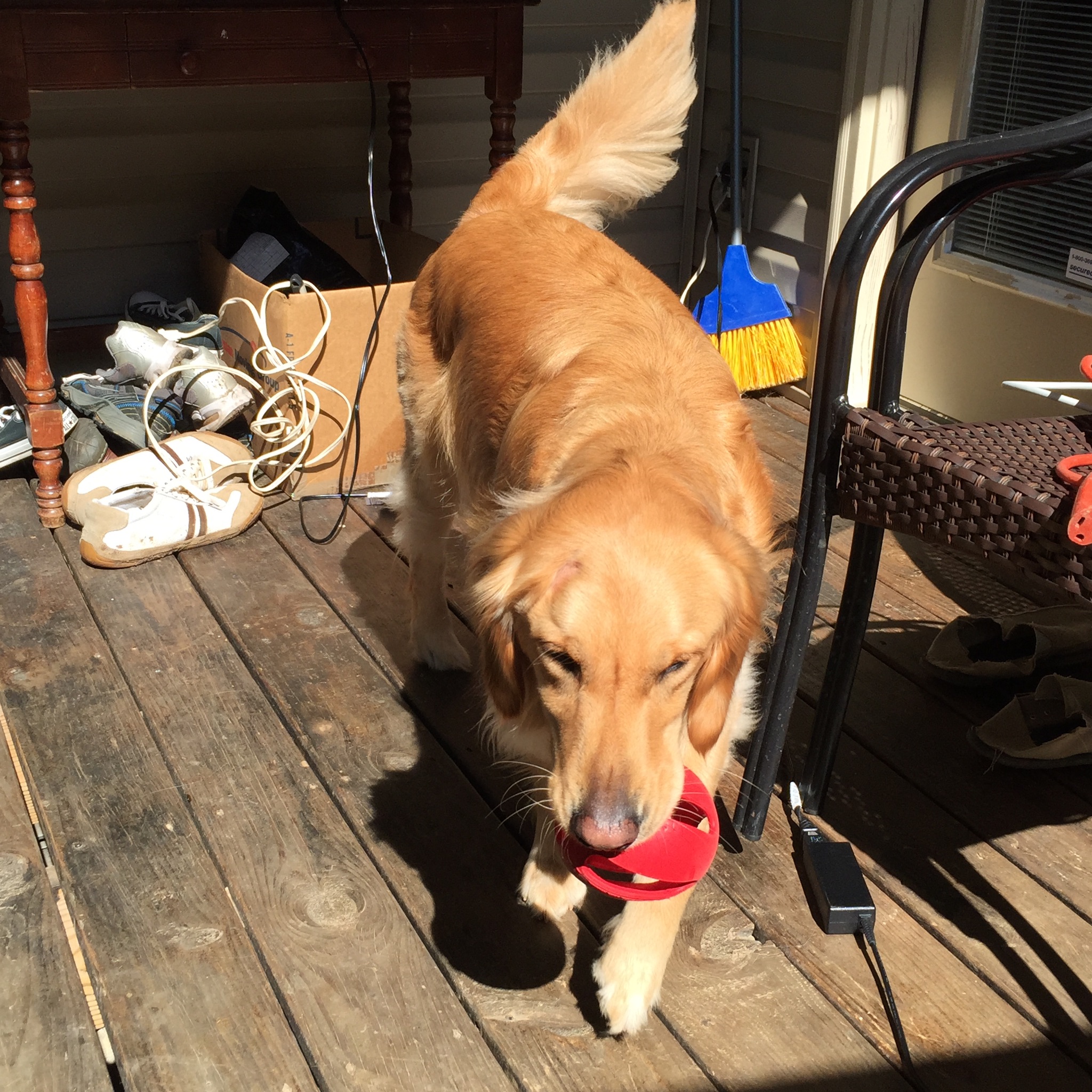 Louie memory